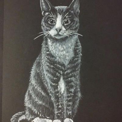 Punktchen Als Punktebild